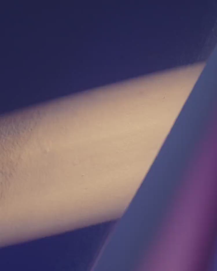 Total Look Casa Batlló 4088